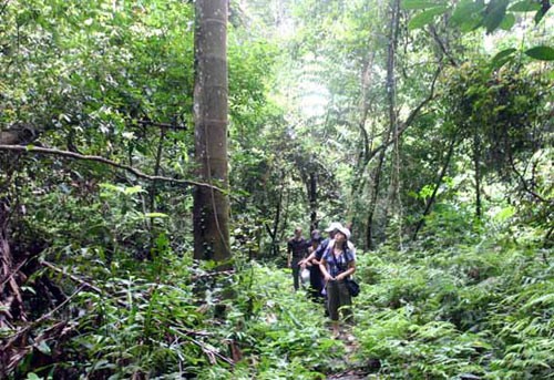 Cat Ba community tour  - ảnh 2